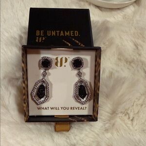 Be Untamed Black and Silver Geometric Earrings